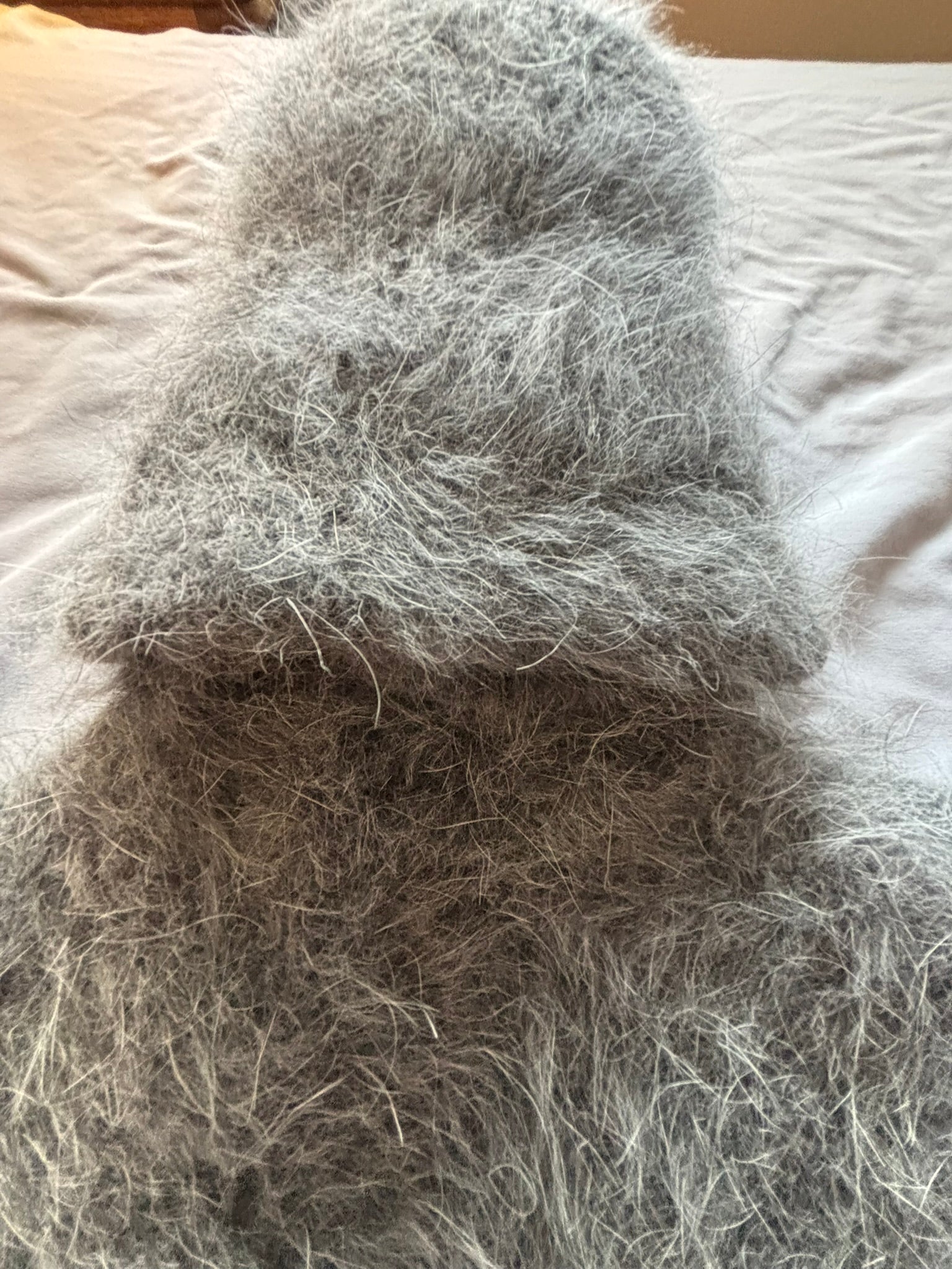 Gray Angora 100cm/40 inch Turtleneck Sweater