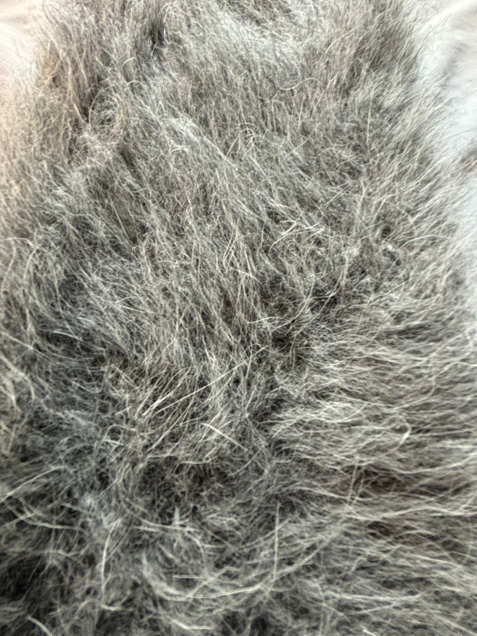 Gray Angora 50cm/20 inch Turtleneck Sweater Dress